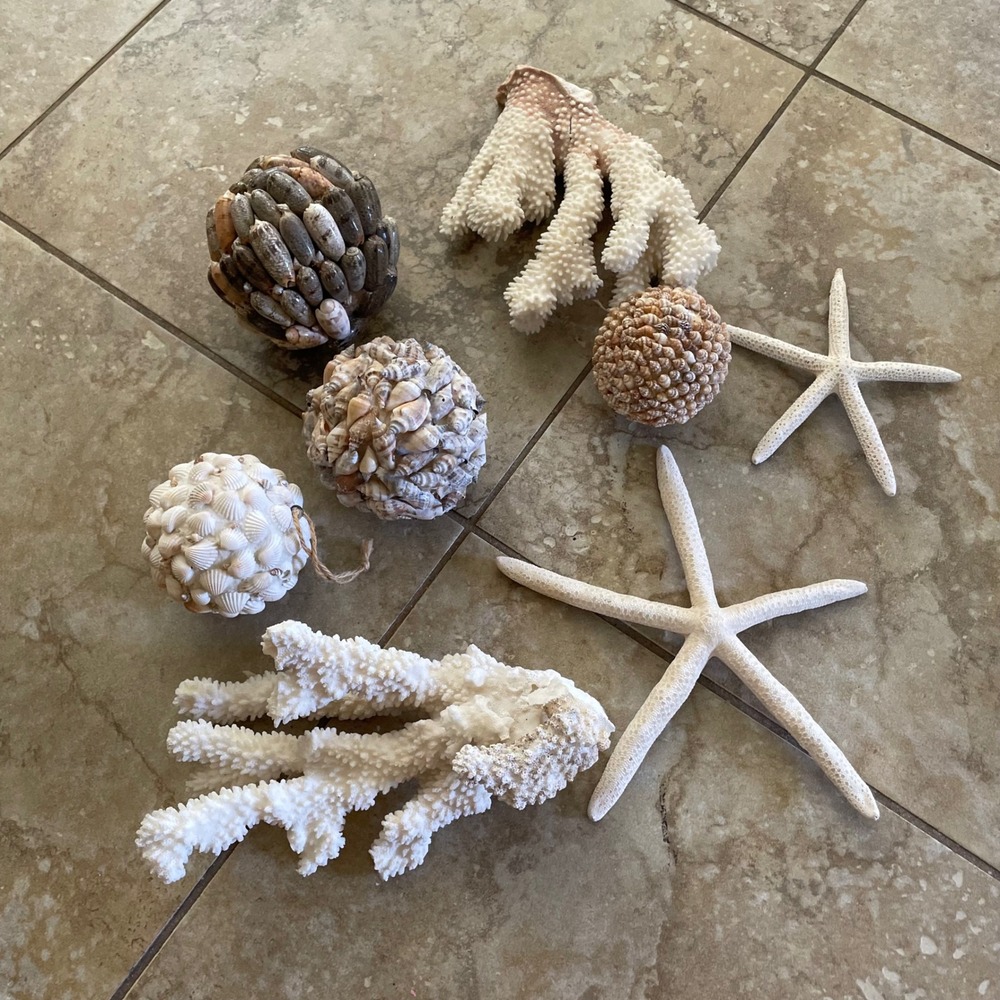 8pc Coastal Decor Set Real Coral Starfish Seashell Nautical Beach House‎ Decor